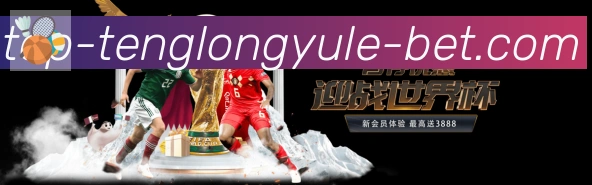 奖项证书